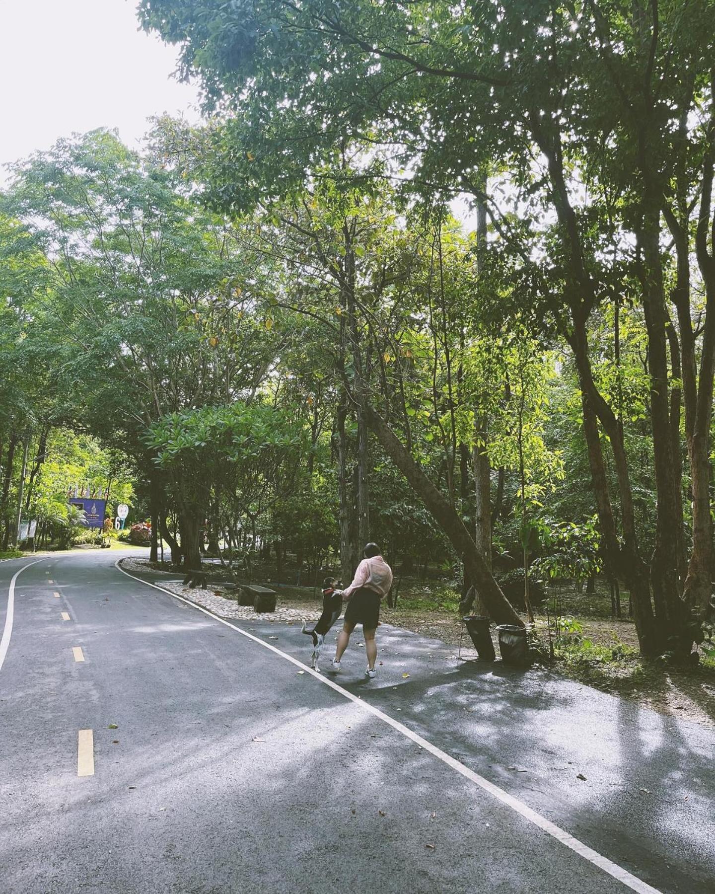 Foresta Villa Hang Dong Exterior foto